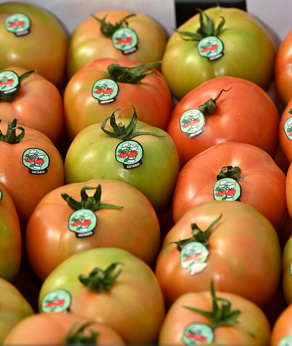 Tomate de Artabia, cultivado en Navarra. Bandeja de 10 kilos.