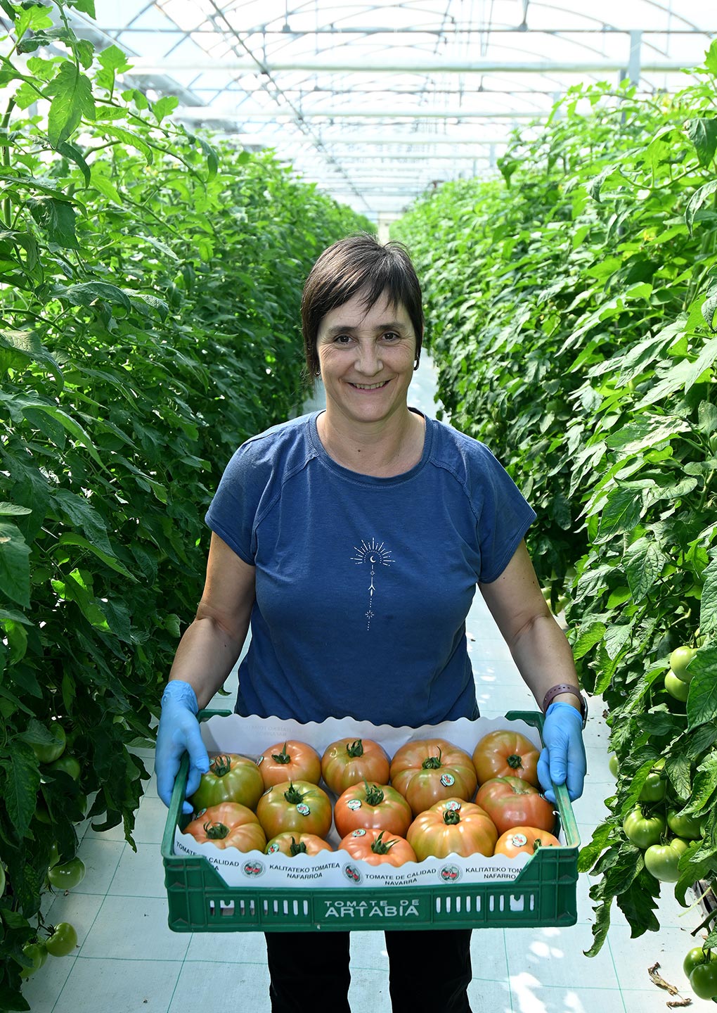 Comprar tomate de Artabia